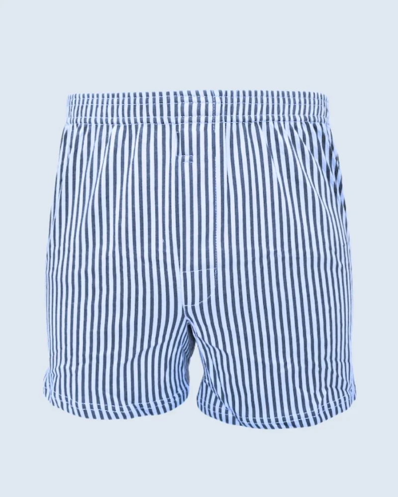 Blue and Navy Blue Vertical Stripe Loose Fit Boxer