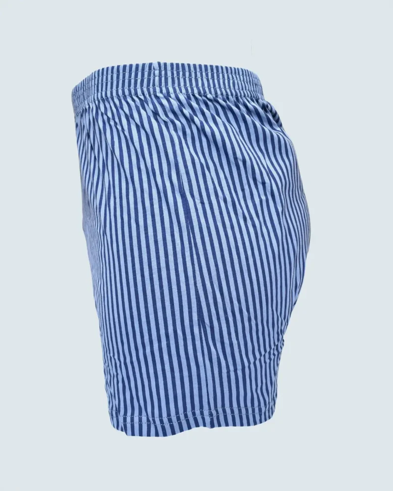 Blue and Light Blue Vertical Stripe Loose Fit Boxer