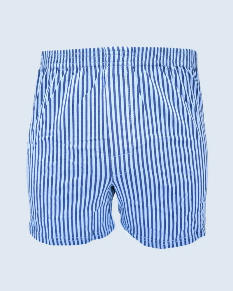 Blue and Navy Blue Vertical Stripe Loose Fit Boxer