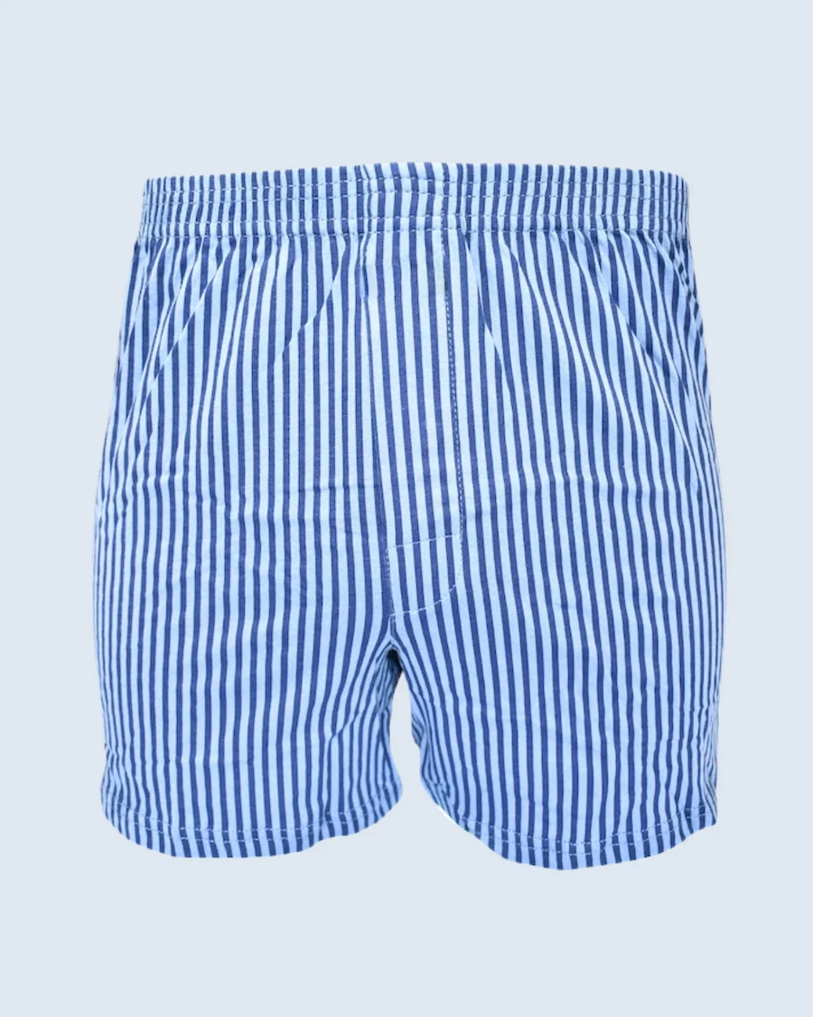 Blue and Navy Blue Vertical Stripe Loose Fit Boxer