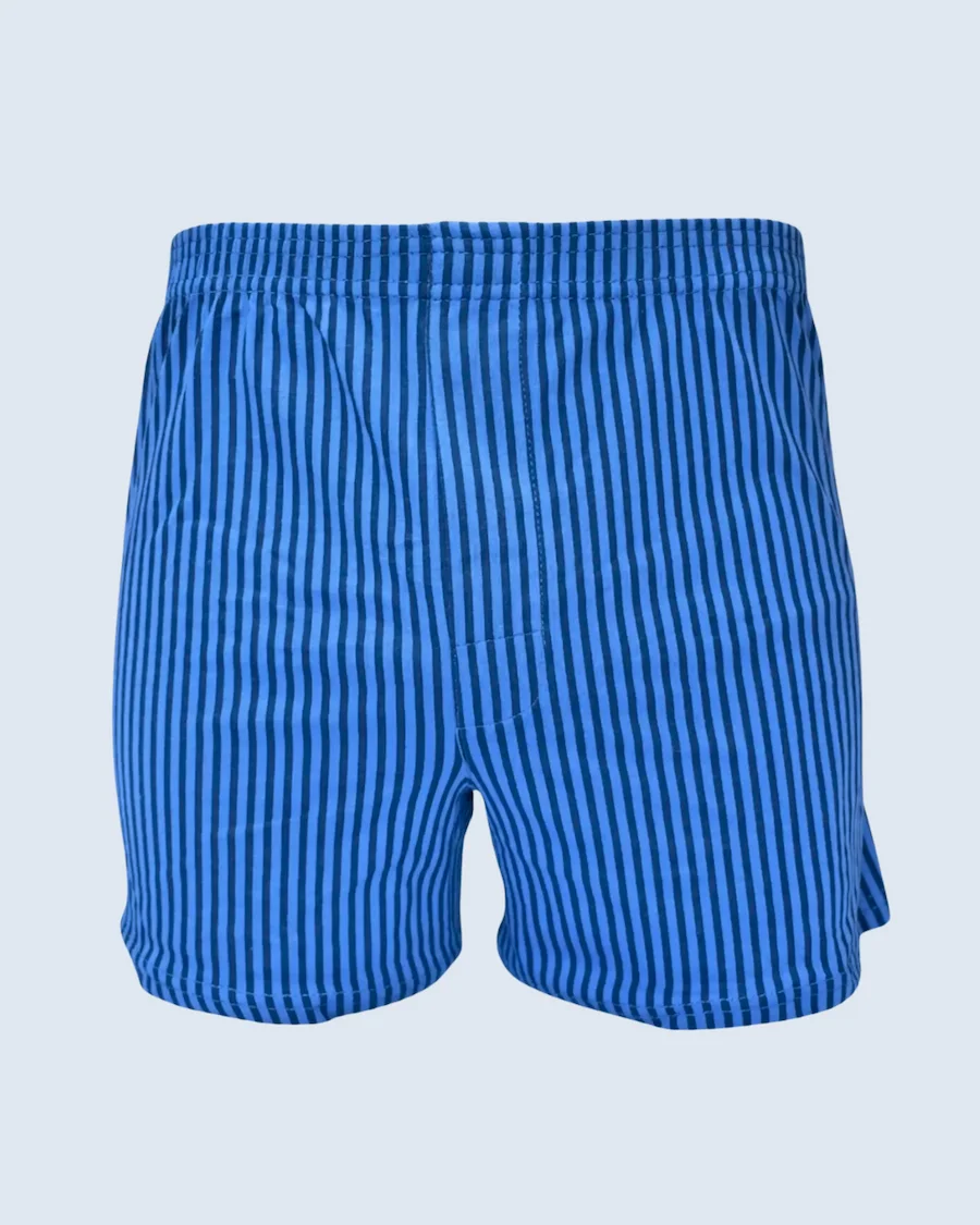 Blue and Navy Blue Vertical Stripe Loose Fit Boxer