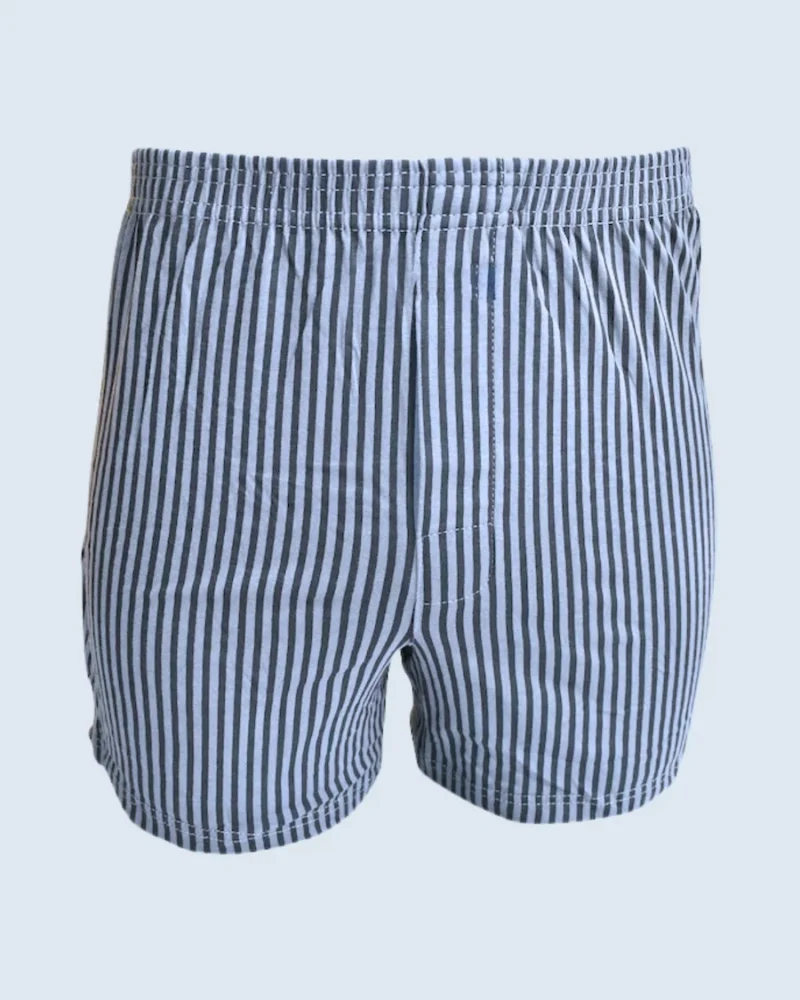 Blue and Navy Blue Vertical Stripe Loose Fit Boxer