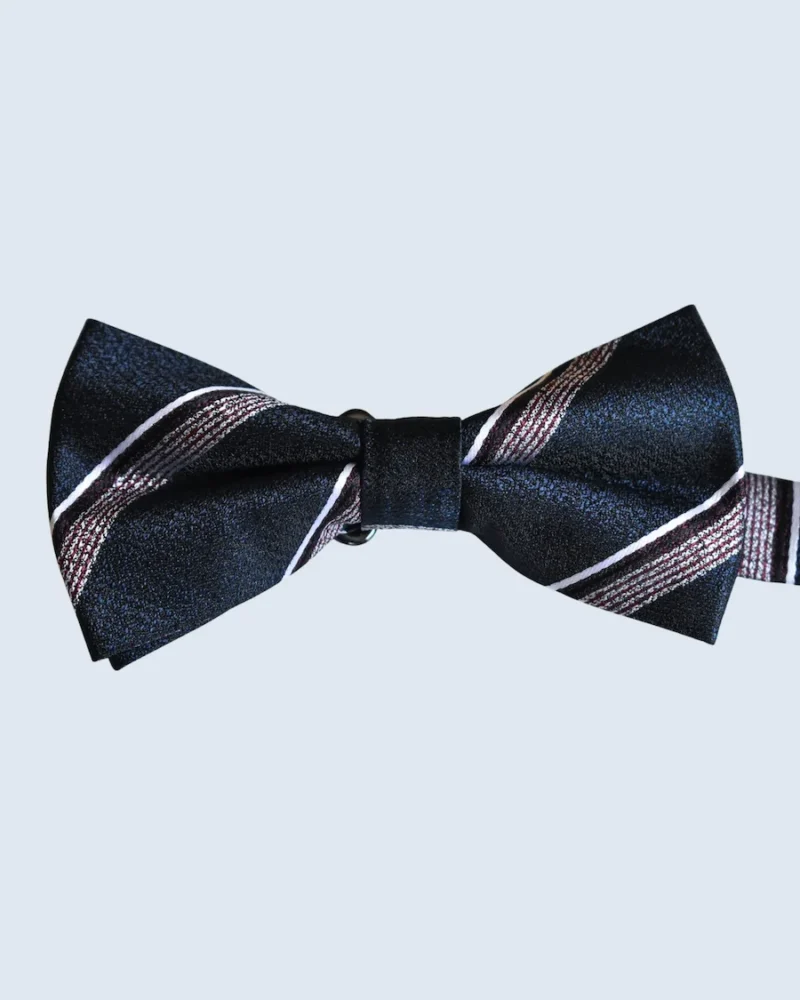Navy & Burgundy Striped Woven Bow Tie