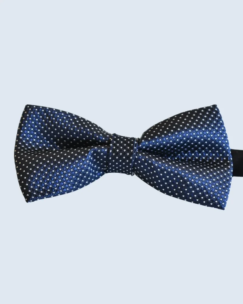 Navy & Silver Pin Dot Woven Bow Tie