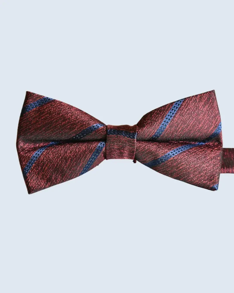 Burgundy & Navy Striped Woven Bow Tie