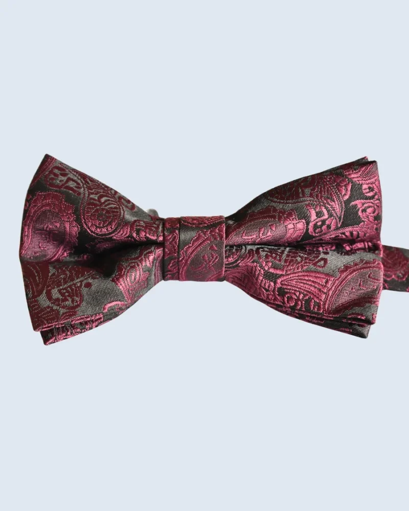 Burgundy & Charcoal Paisley Woven Bow Tie