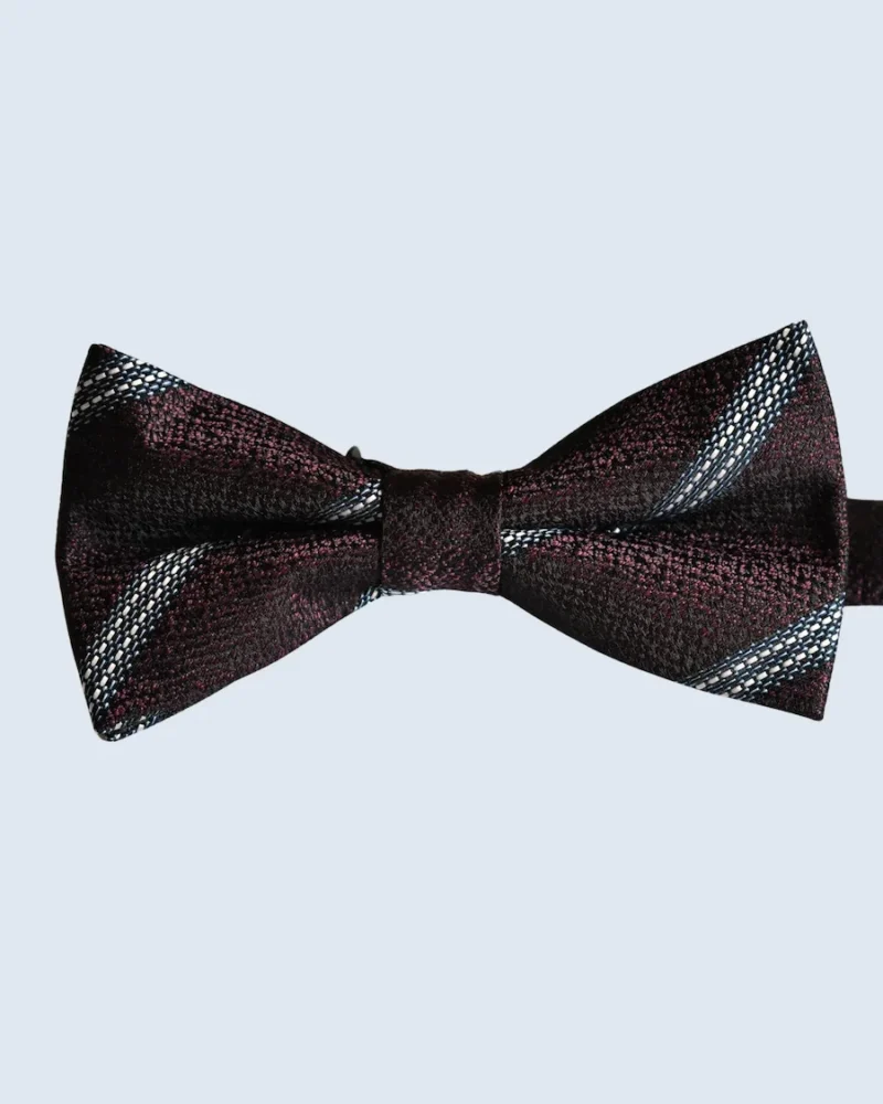 Deep Burgundy & Light Blue Striped Woven Bow Tie