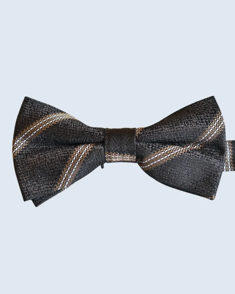 Charcoal Gray & Bronze Striped Woven Bow Tie