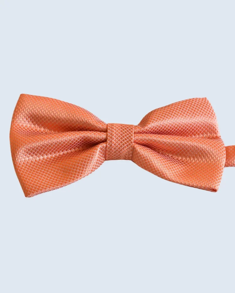 Bright Peach & Coral Micro-Diamond Woven Bow Tie