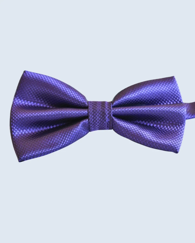 Royal Purple Textured Micro-Grid Bow Tie