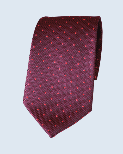 Burgundy & Red Polka Tie