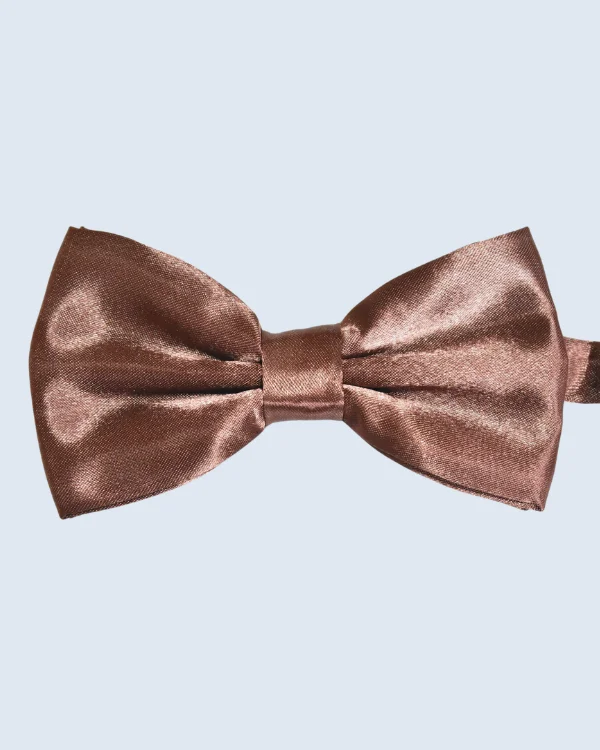 Brown Silk Bow Tie | ForHim.ke