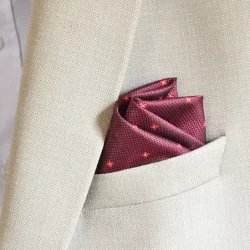 Burgundy Micro-Pattern Pocket Square Men's Premium Pocket Squares | Silk & Cotton Suit Accessories